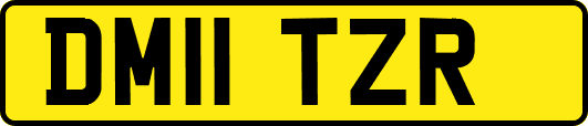DM11TZR