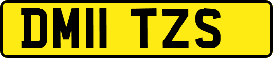 DM11TZS