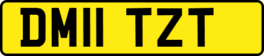 DM11TZT
