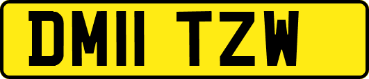 DM11TZW