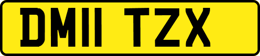 DM11TZX