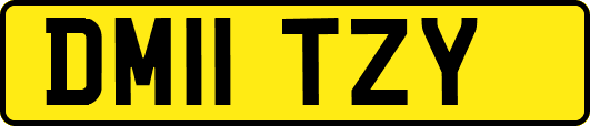 DM11TZY