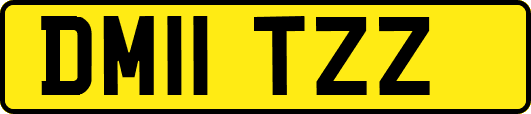 DM11TZZ