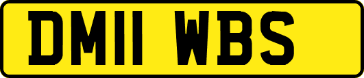 DM11WBS