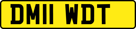 DM11WDT
