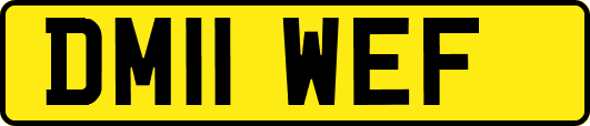 DM11WEF