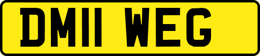 DM11WEG