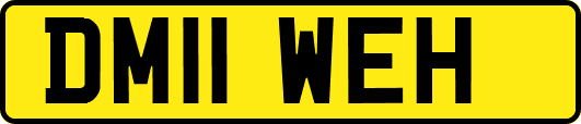 DM11WEH