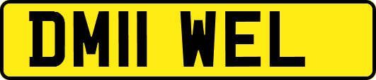 DM11WEL