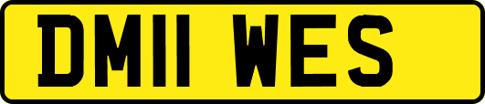 DM11WES