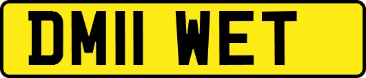 DM11WET