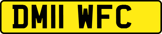 DM11WFC