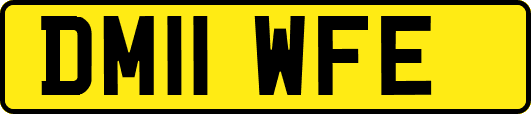 DM11WFE