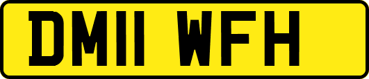 DM11WFH