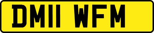 DM11WFM