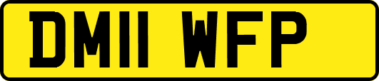 DM11WFP