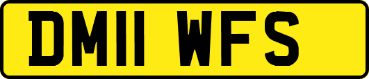 DM11WFS