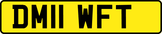 DM11WFT