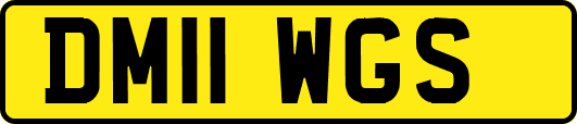 DM11WGS
