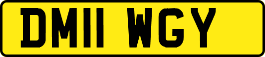 DM11WGY