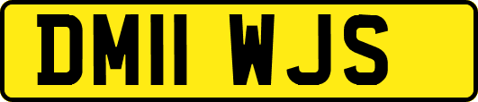 DM11WJS