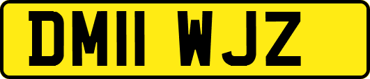 DM11WJZ