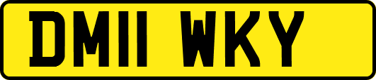 DM11WKY