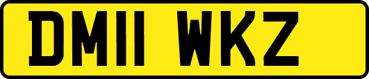 DM11WKZ