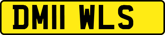 DM11WLS