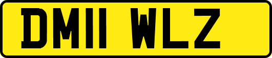 DM11WLZ