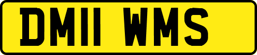DM11WMS
