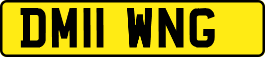 DM11WNG