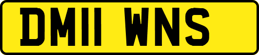 DM11WNS
