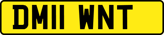 DM11WNT