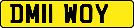 DM11WOY