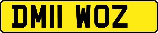 DM11WOZ