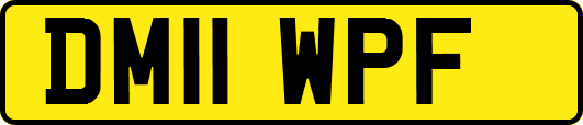 DM11WPF
