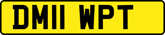 DM11WPT
