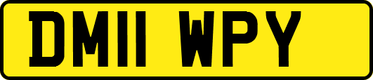 DM11WPY