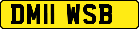 DM11WSB