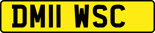 DM11WSC