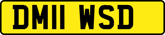 DM11WSD