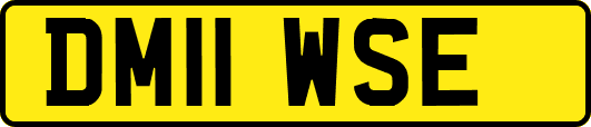 DM11WSE