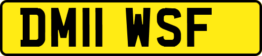 DM11WSF