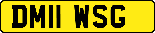DM11WSG