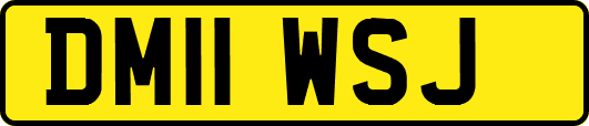 DM11WSJ