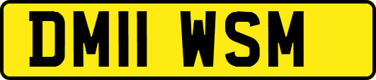 DM11WSM