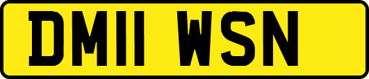 DM11WSN