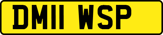 DM11WSP