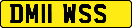DM11WSS